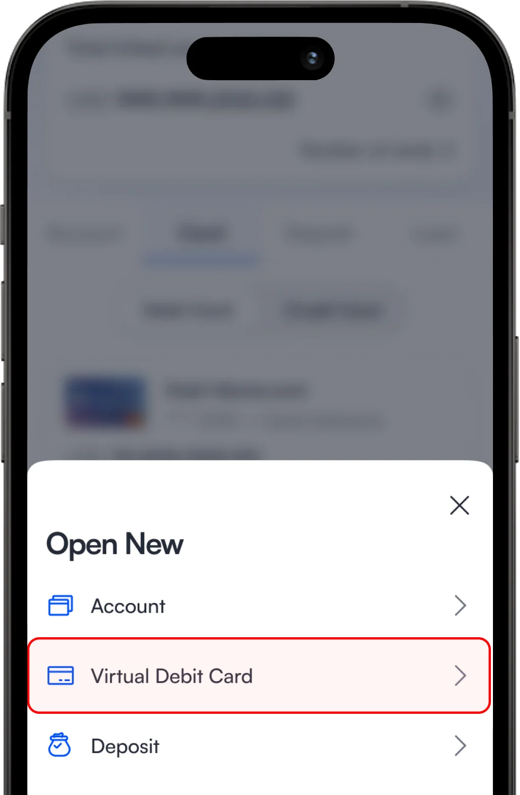 Select “Virtual Debit Card” From The Options.