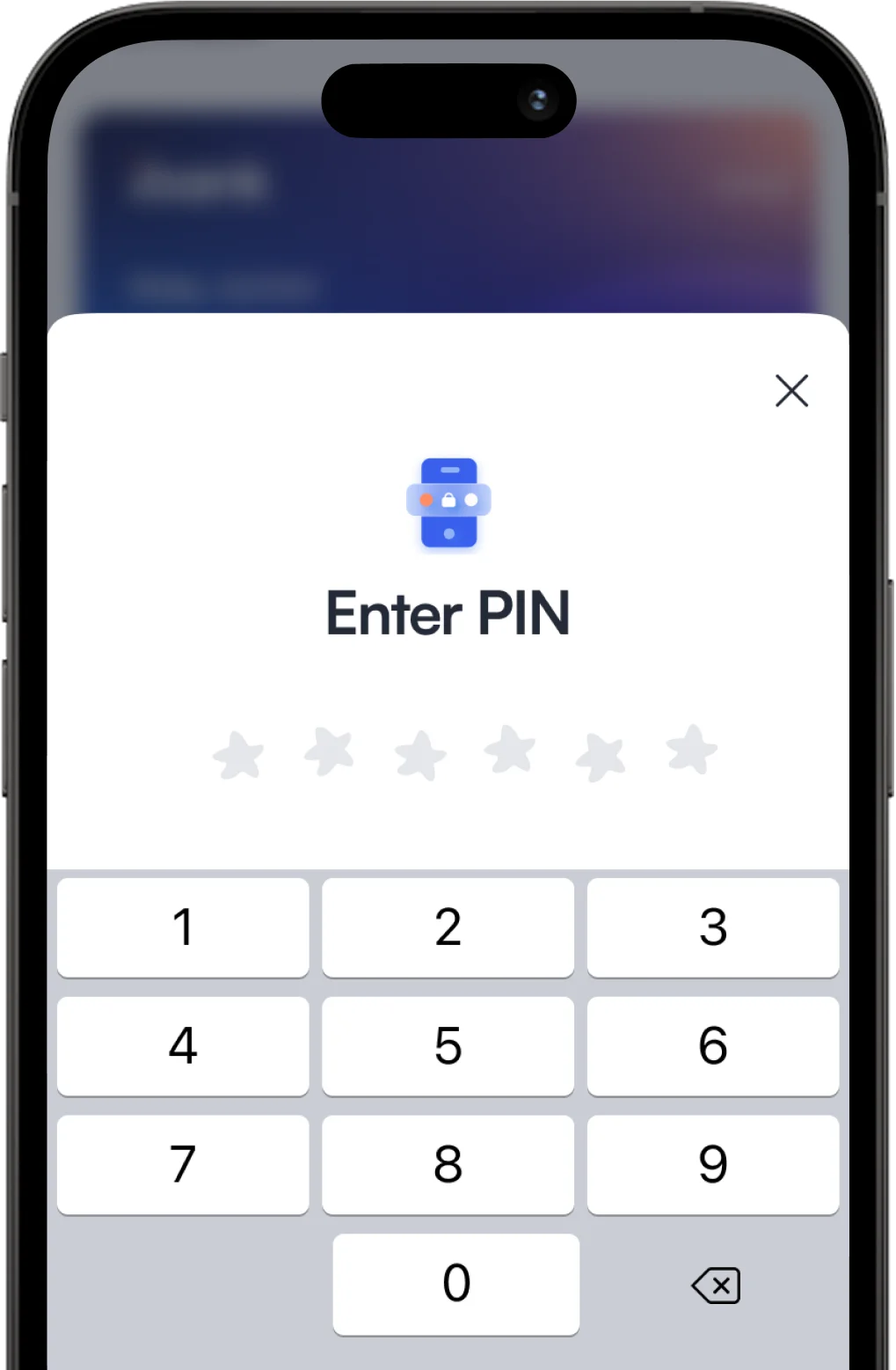 Authorize The Transaction via Face ID, Touch ID, or PIN.